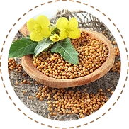 Cold-Pressed Yellow Mustard Seeds
